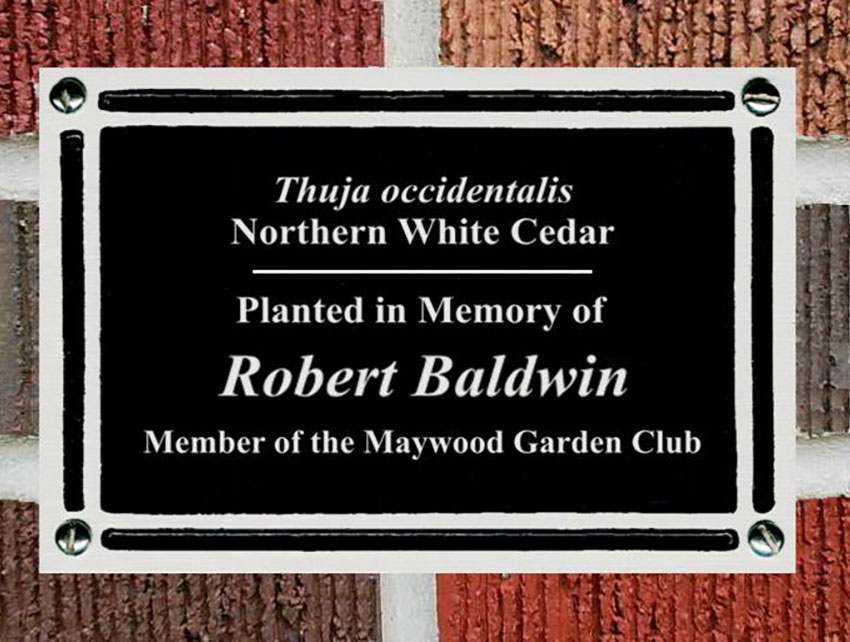 PERSONALISED BLACK BENCH MEMORIAL PLAQUE ENGRAVED SIGN 4 SIZES TO CHOOSE FROM 
